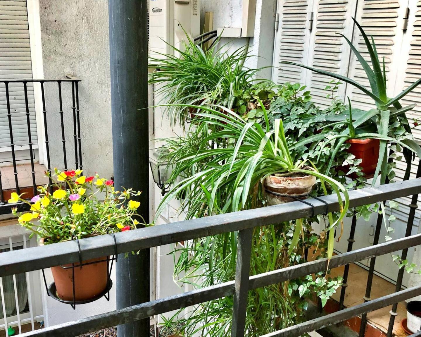 Los Flamencos, Malasana Loft Madrid 45Mq Ngoại thất bức ảnh