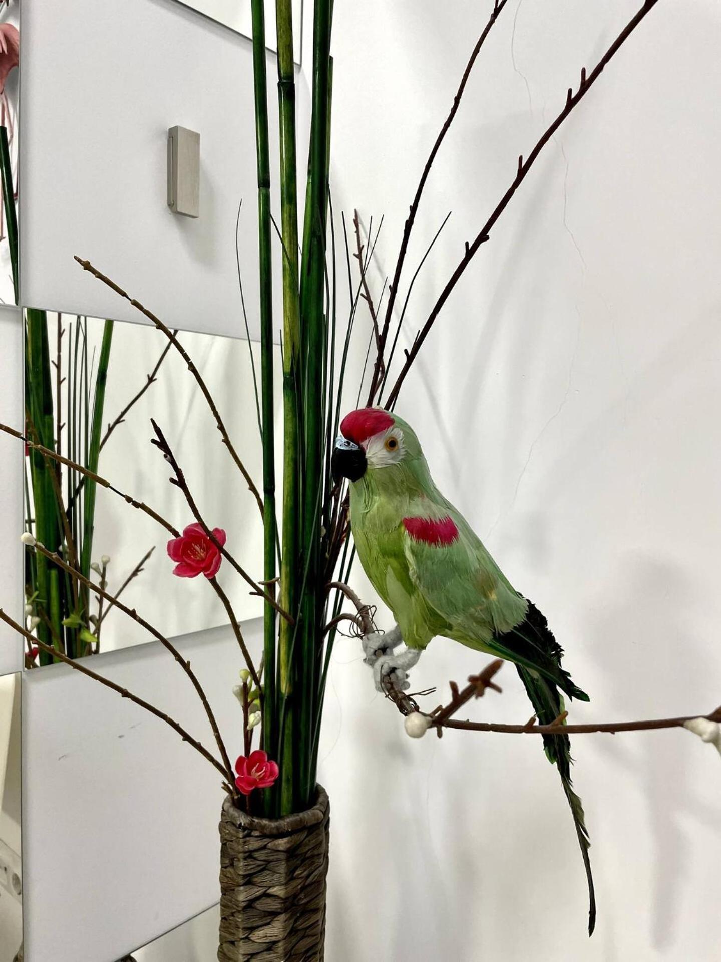 Los Flamencos, Malasana Loft Madrid 45Mq Ngoại thất bức ảnh